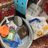 فروش وسایل و لوازم کامل گربه یکجا (استفاده نشده)