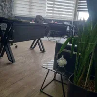 سرمایه گذاری مطمئن وبدون ریسک