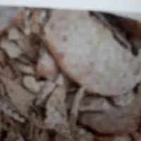 نان خشک