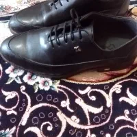 کفش مجلسی ورنی x