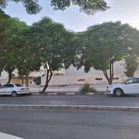 فروش-زمین-تجاری-بر-مهارت-جنوبی-در-خانه-کارگر