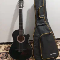 گیتار  دیاموند