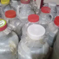 خیار شور