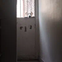 توله خراسانی سرابی