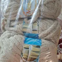 کاموا مونیکا