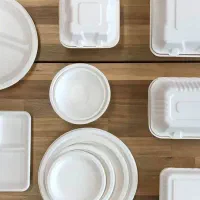 ظروف غذایی کافه و رستوران ( گیاهی سوگاس )