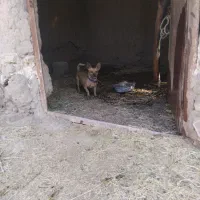 ۰۰۰