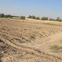 1500-متر-زمین-4-دیواری-تک-برگ-سند-شهریار