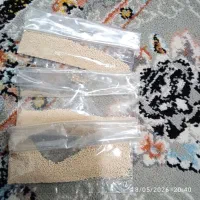 پودرپاک کننده شپش وتخم شپش تضمینی120هزار