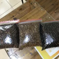 پخش عمده قهوه