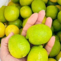 لیموترش آبدار