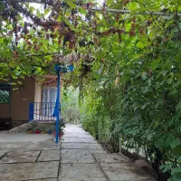 اجاره-روزانه-هفتگی-ماهانه-ویلا-1200-متری