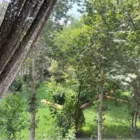 راهرو اصلی اجاره