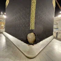 فیش ۸۵ تمتع