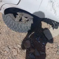 زانتیا تصادفی