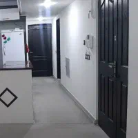 پلاز موکت