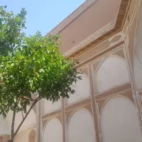 سوییت .|اجارهٔ کوتاهمدت آپارتمان و سوئیت|یزد, |دیوار