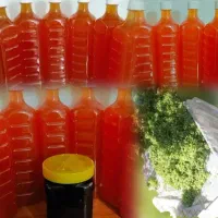 آبغوره طبیعی و اورگانیک