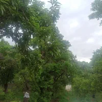 معاوضه زمین با ماشین