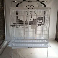 لانه بزرگ پرنده کاسکو آرا