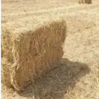 پرس جو