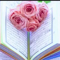 سرکتاب