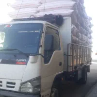 کاه گوسفندی درجه یک