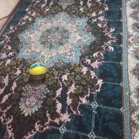 روفرشی ۱۲متری
