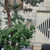 120-متر-2-خواب-پونک-بلوار-کمالی