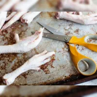 استخدام کارگر آقا