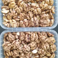 خرید و فروش گردو و گردو سبز