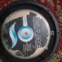میدرنج ۱۲ اینچ (ciare)