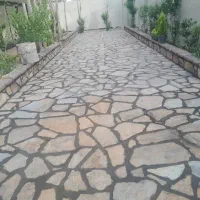 سنگ مالون و لاشه
