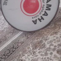 طبل ۸۰