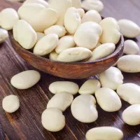 دنبه گوسفند