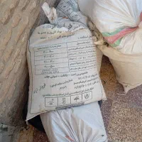 کود سیاه زیره