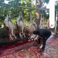 جایگاه سلامت عرضه بهداشتی....