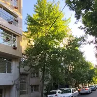 کلنگی 200متر 10شمالی مشارکت در ساخت تک مالک|مشارکت در ساخت املاک|تهران, شهرآرا|دیوار