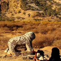 خواننده کلیه مراسمات خاکسپاری فاتحه خوانی