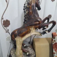 پلی استر اسب