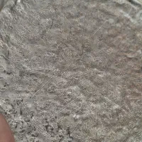 سینی عتیقه قلمکاری و امضادار