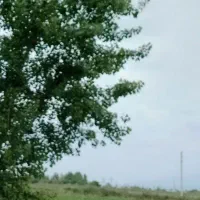 زمین-کشاورزی