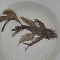 لجنخوار پوزه بوته ای|ماهی|تهران, نازی‌آباد|دیوار