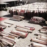 قالیشویی تار ابریشم اصل در پرند فاز۰تا۷