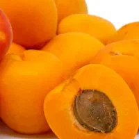 باغ  شلیل آلو آلبالو آلوچه سیب و.. برمیدارم