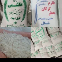 برنج هاشمی گیلان وطارم گرگان