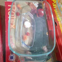 مرغ خوری