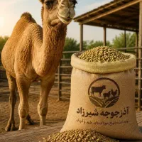 خوراک دام و طیور شیرزاد/مستقیم از کارخانه