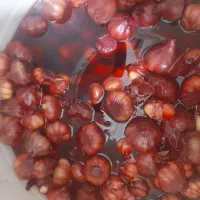 محصولات خانگی عباسی