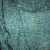 تورسبزبزرگ ۱۵در۲۱ درحدنونو